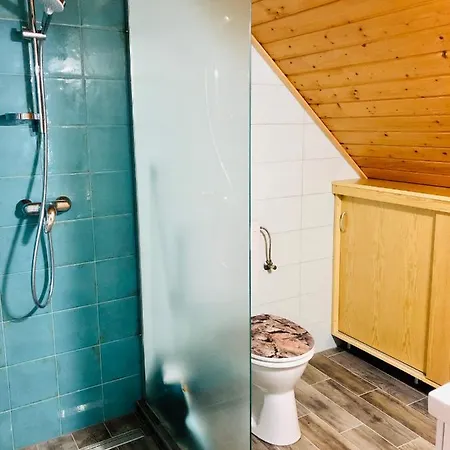 Balaton Vendeghaz Gæstehus *